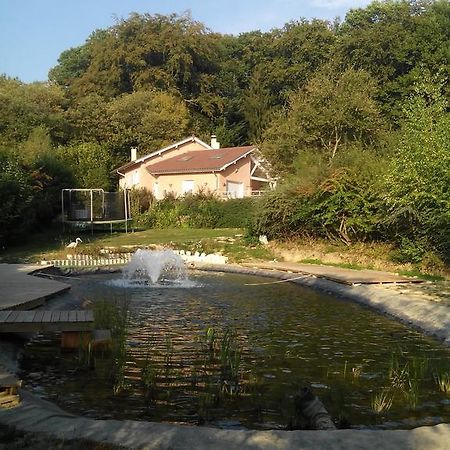 Le Jardin Ombrage Acomodação com café da manhã Saint-Paul-dʼIzeaux Exterior foto
